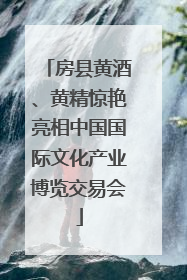 房县黄酒、黄精惊艳亮相中国国际文化产业博览交易会