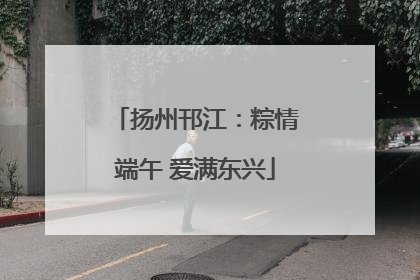 扬州邗江：粽情端午 爱满东兴