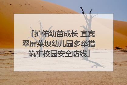 护佑幼苗成长 宜宾翠屏菜坝幼儿园多举措筑牢校园安全防线