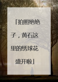 拍照绝绝子，黄石这里的绣球花盛开啦
