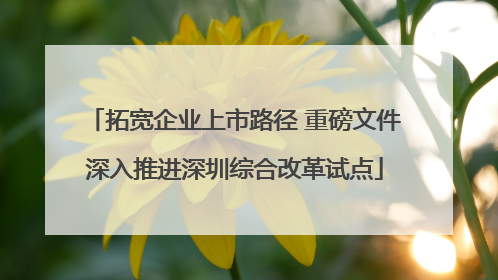 拓宽企业上市路径 重磅文件深入推进深圳综合改革试点