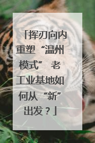 挥刃向内重塑“温州模式” 老工业基地如何从“新”出发？