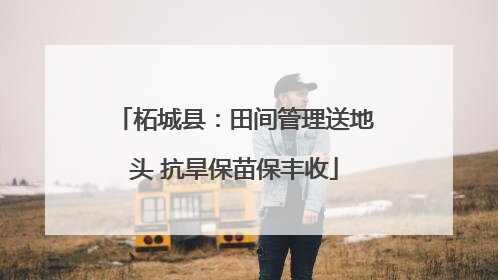 柘城县：田间管理送地头 抗旱保苗保丰收