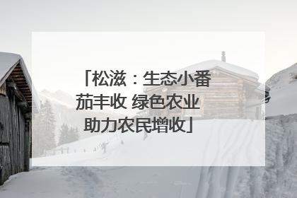 松滋：生态小番茄丰收 绿色农业助力农民增收
