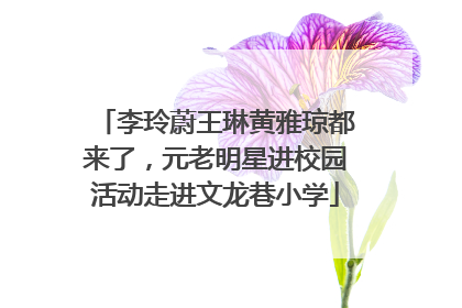 李玲蔚王琳黄雅琼都来了，元老明星进校园活动走进文龙巷小学