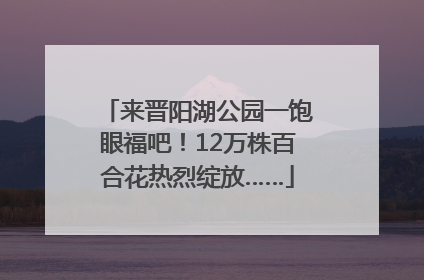 来晋阳湖公园一饱眼福吧！12万株百合花热烈绽放……