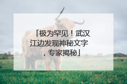 极为罕见！武汉江边发现神秘文字，专家揭秘