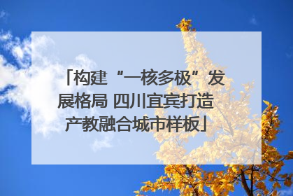 构建“一核多极”发展格局 四川宜宾打造产教融合城市样板