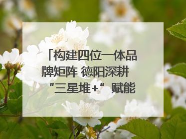 构建四位一体品牌矩阵 德阳深耕“三星堆+”赋能国际旅游城市建设｜文旅局长说
