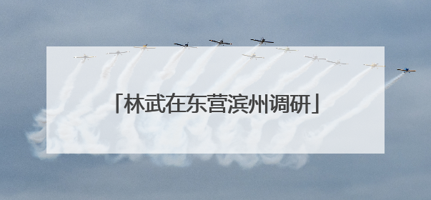 林武在东营滨州调研