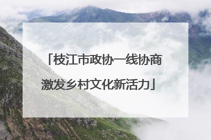枝江市政协一线协商激发乡村文化新活力