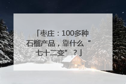 枣庄：100多种石榴产品，靠什么“七十二变”？