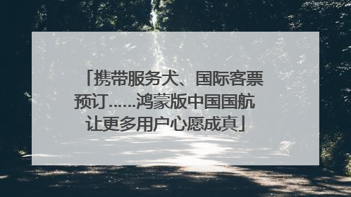 携带服务犬、国际客票预订……鸿蒙版中国国航让更多用户心愿成真