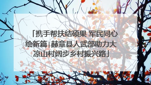 携手帮扶结硕果 军民同心绘新篇∣赫章县人武部助力大凉山村阔步乡村振兴路