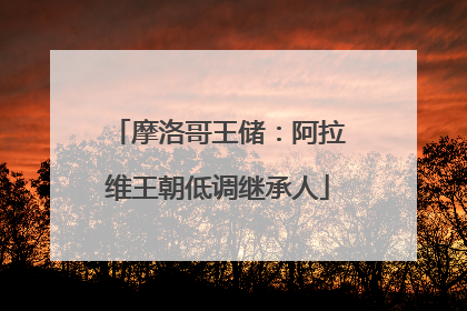 摩洛哥王储：阿拉维王朝低调继承人