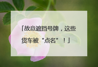 故意遮挡号牌，这些货车被“点名”！