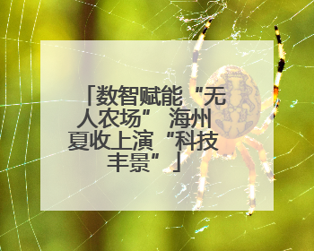 数智赋能“无人农场” 海州夏收上演“科技丰景”