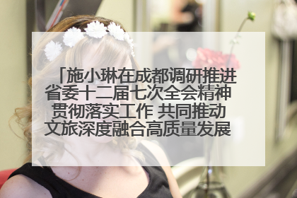 施小琳在成都调研推进省委十二届七次全会精神贯彻落实工作 共同推动文旅深度融合高质量发展 加快打造支柱产业民生产业幸福产业