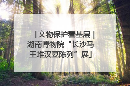 文物保护看基层｜湖南博物院“长沙马王堆汉墓陈列”展