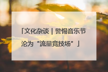 文化杂谈｜警惕音乐节沦为“流量竞技场”