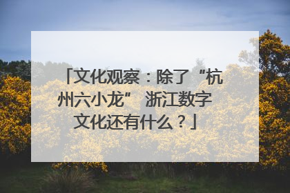文化观察：除了“杭州六小龙” 浙江数字文化还有什么？