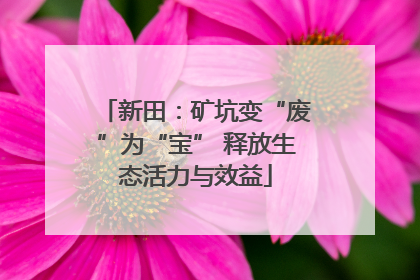 新田：矿坑变“废”为“宝” 释放生态活力与效益