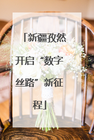 新疆孜然开启“数字丝路”新征程