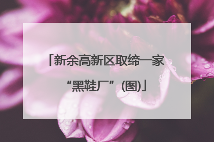 新余高新区取缔一家“黑鞋厂”(图)