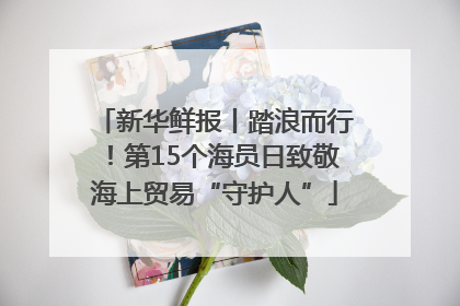 新华鲜报丨踏浪而行！第15个海员日致敬海上贸易“守护人”