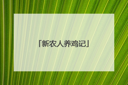 新农人养鸡记