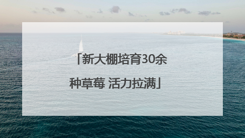 新大棚培育30余种草莓 活力拉满