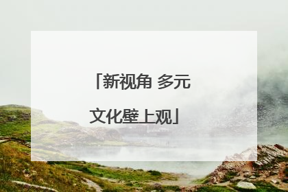 新视角 多元文化壁上观