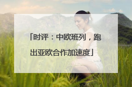 时评：中欧班列，跑出亚欧合作加速度