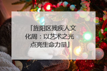 旌阳区残疾人文化周：以艺术之光点亮生命力量