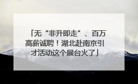 无“非升即走”、百万高薪诚聘！湖北赴南京引才活动这个展台火了