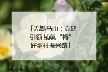无锡马山：党建引领 铺就“梅”好乡村振兴路
