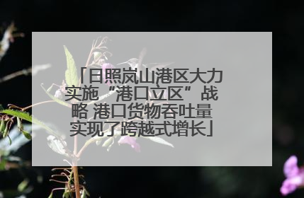 日照岚山港区大力实施“港口立区”战略 港口货物吞吐量实现了跨越式增长