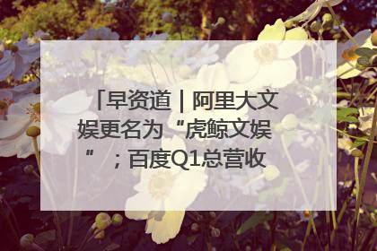 早资道｜阿里大文娱更名为“虎鲸文娱”；百度Q1总营收325亿元超预期