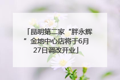 昆明第二家“胖永辉”金地中心店将于6月27日调改开业