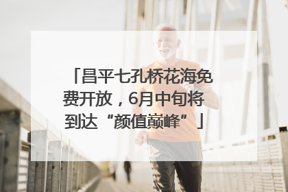 昌平七孔桥花海免费开放，6月中旬将到达“颜值巅峰”