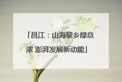 昌江：山海黎乡绿意浓 澎湃发展新动能
