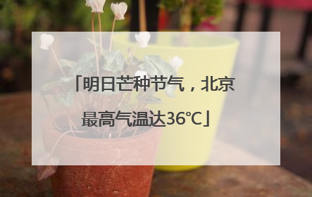 明日芒种节气，北京最高气温达36℃
