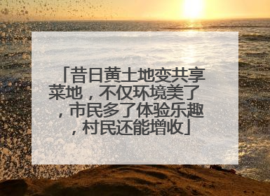 昔日黄土地变共享菜地，不仅环境美了，市民多了体验乐趣，村民还能增收