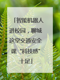 智能机器人进校园，聊城这堂交通安全课“科技感”十足