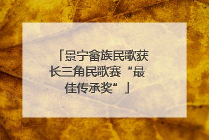 景宁畲族民歌获长三角民歌赛“最佳传承奖”