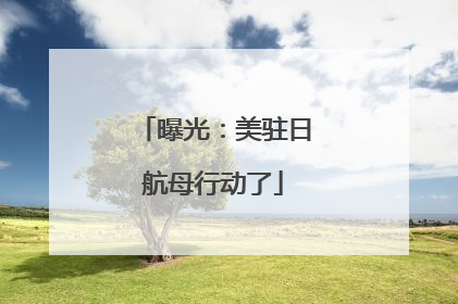 曝光：美驻日航母行动了