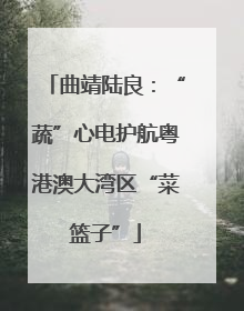 曲靖陆良：“蔬”心电护航粤港澳大湾区“菜篮子”