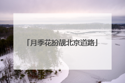月季花扮靓北京道路