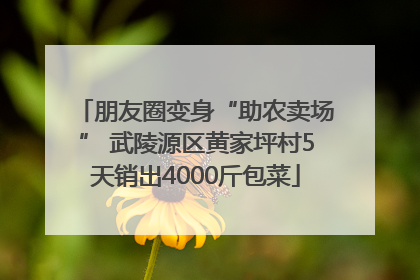 朋友圈变身“助农卖场” 武陵源区黄家坪村5天销出4000斤包菜