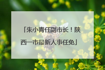 朱小青任副市长！陕西一市最新人事任免